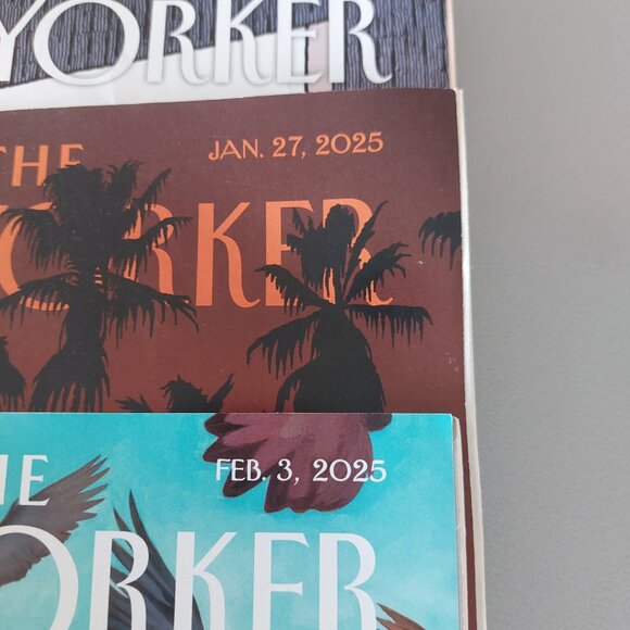 The New Yorker Magazine 2025 BUNDLE OF 7 - Jan - April - Picture 6 of 9